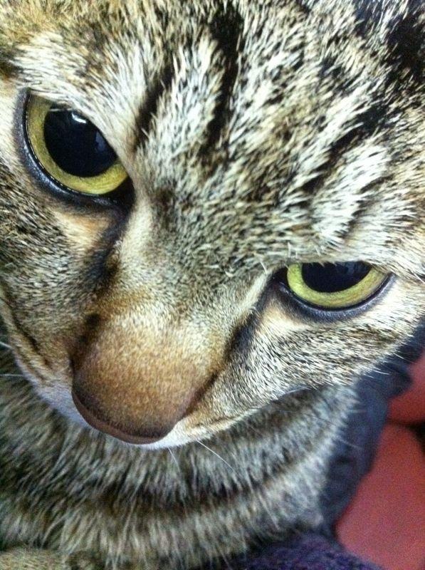 【大人物創意攝影大賽優勝公布暨作品賞析時間】(標題可以再八股一點XD！)