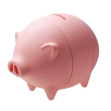 永遠存不夠的開薪小豬