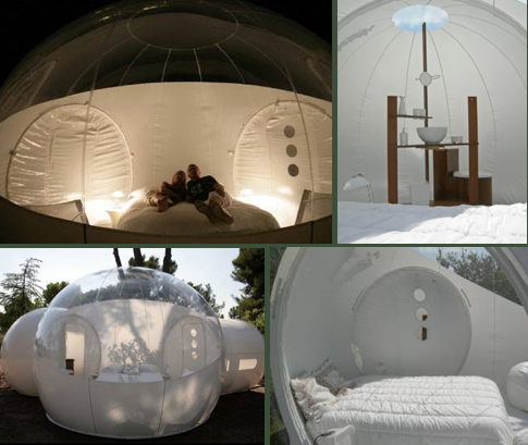 讓你一覽無遺的「Bubble Tree」泡泡屋
