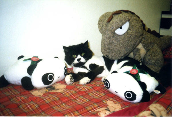 【大人物創意攝影大賽優勝公布暨作品賞析時間】(標題可以再八股一點XD！)