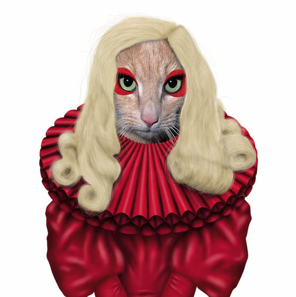 天生巨星!阿貓阿狗也有明星臉