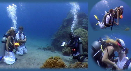 想要欣賞海底風景嗎？十個最酷的海底景點等你來