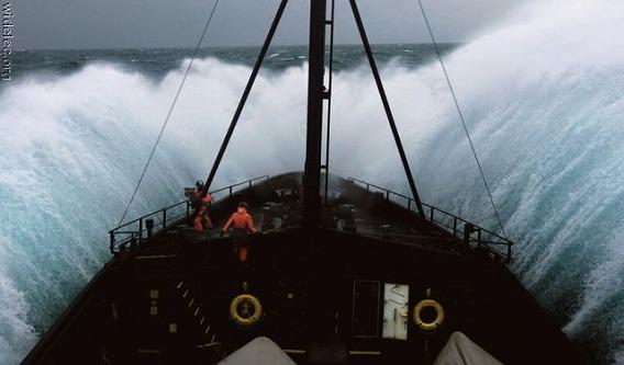 30張令人目瞪口呆的「決定性的瞬間照片」