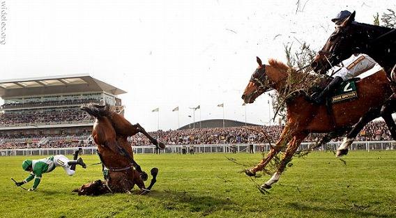 30張令人目瞪口呆的「決定性的瞬間照片」