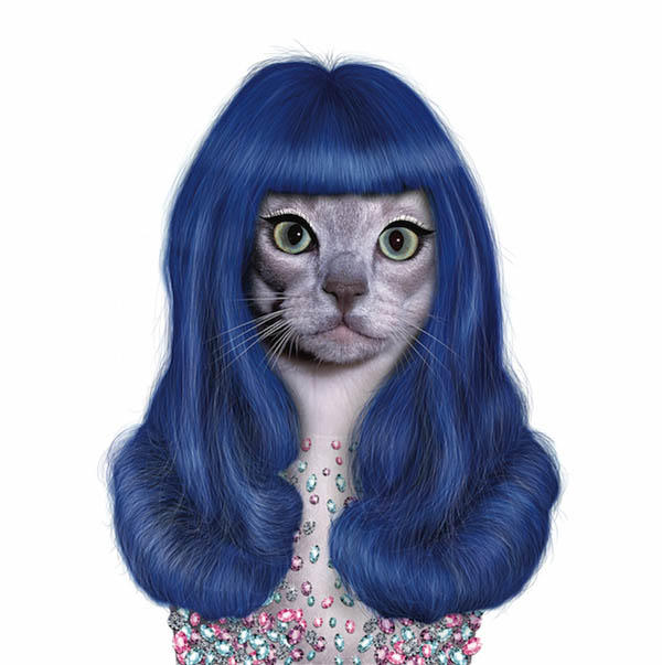 天生巨星!阿貓阿狗也有明星臉