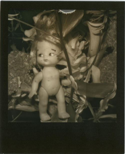 BLACK FRAME遺影：荒木經惟黑框拍立得攝影展Coming Soon！