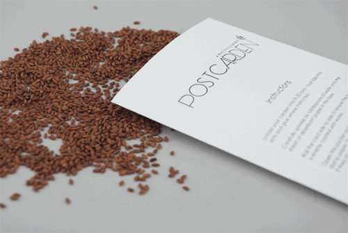 捻花惹草的明信片變成你桌上的後花園