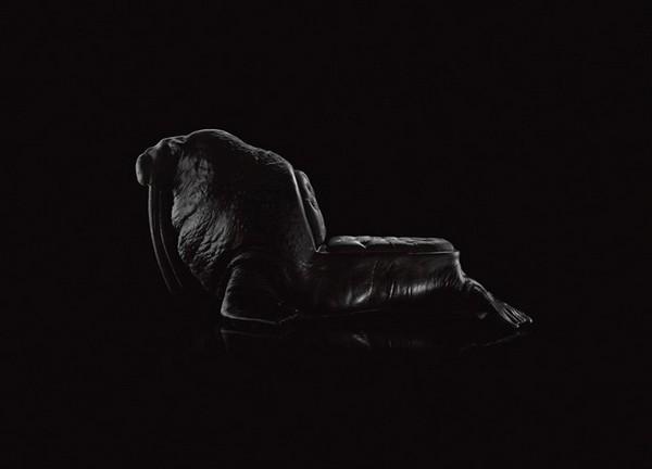 召喚獸附身的海象椅，黑面獠牙很有型！