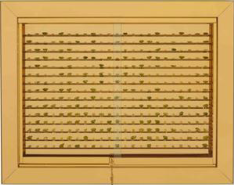  援助日本災民：佳士得拍賣 x 村上隆 正式啟動