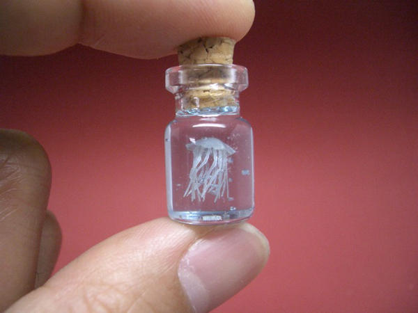 日系小物再一發！瓶子裡的迷你世界  