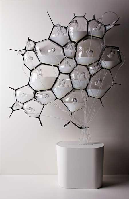 The Microbial Home：未來世界最環保的家