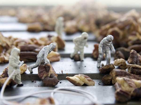 處處充滿驚喜與趣味的食物小世界