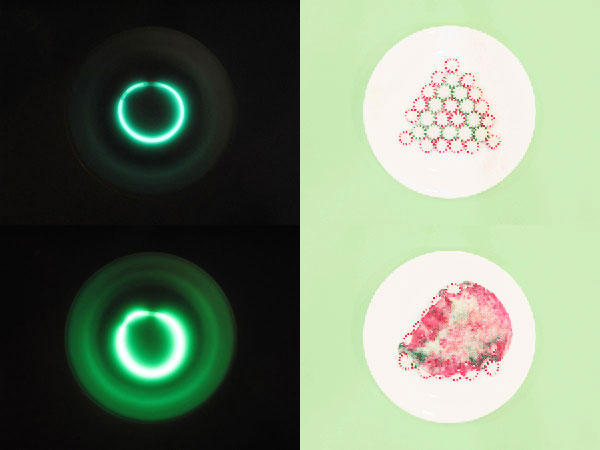 千萬別嘗試把這些東西放進微波爐！？