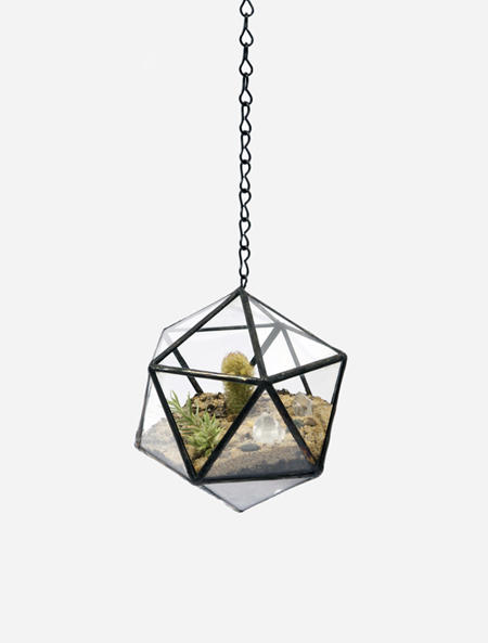 擁有一個迷你溫室,植物就像有個家!