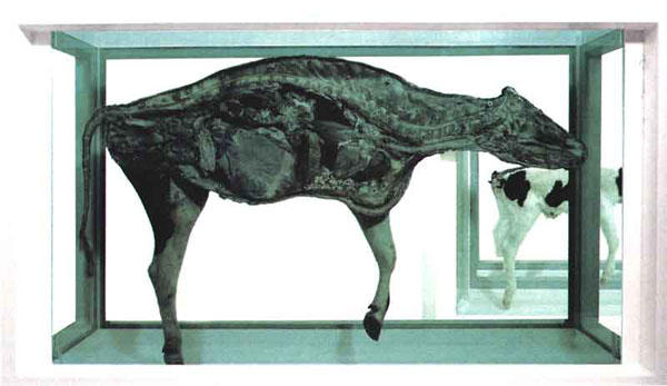 這不是紙做的切片人體模型嗎，做得挺像的嘛！