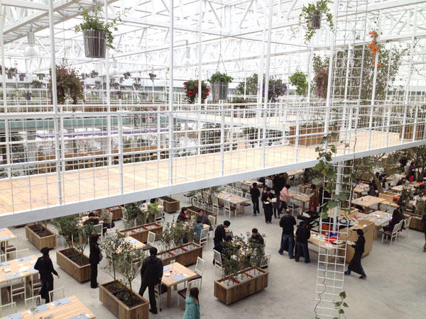 蘭陽新景點！與花草樹木共舞的「香草菲菲」