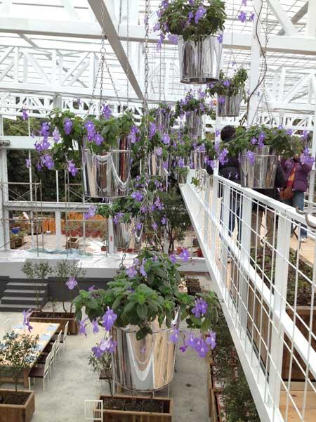 蘭陽新景點！與花草樹木共舞的「香草菲菲」