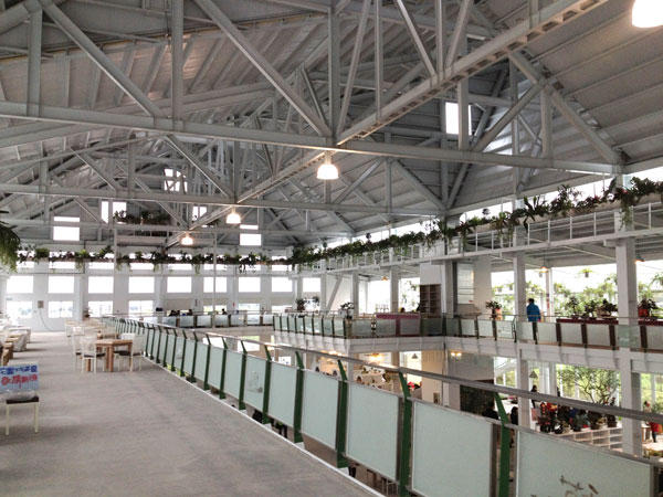 蘭陽新景點！與花草樹木共舞的「香草菲菲」