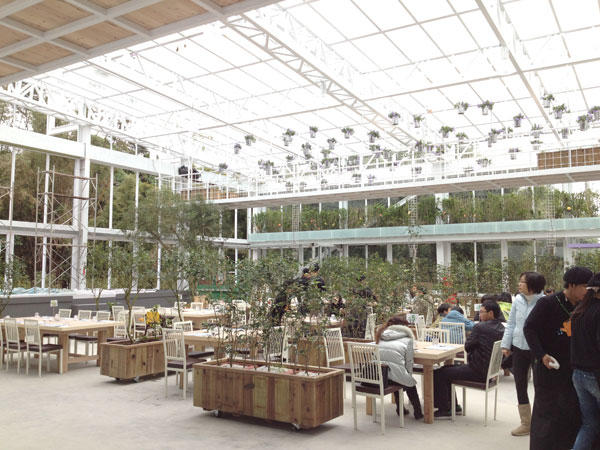 蘭陽新景點！與花草樹木共舞的「香草菲菲」