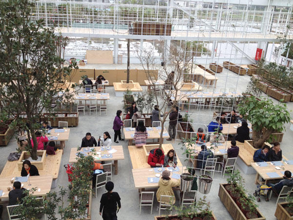 蘭陽新景點！與花草樹木共舞的「香草菲菲」