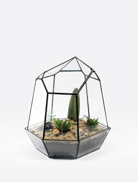 擁有一個迷你溫室,植物就像有個家!