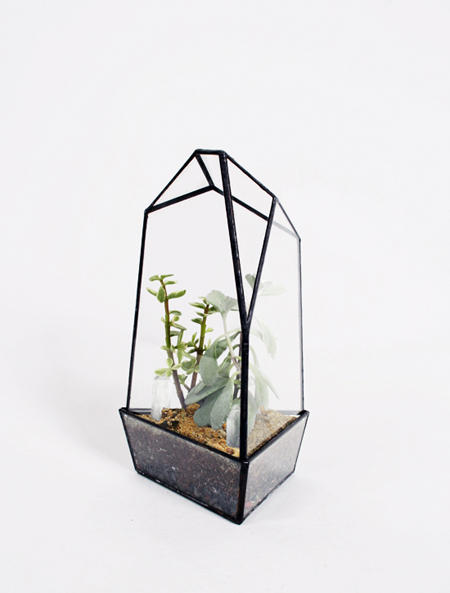 擁有一個迷你溫室,植物就像有個家!