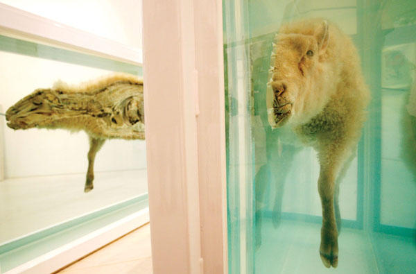 這不是紙做的切片人體模型嗎，做得挺像的嘛！