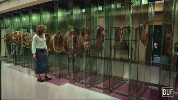 這不是紙做的切片人體模型嗎，做得挺像的嘛！