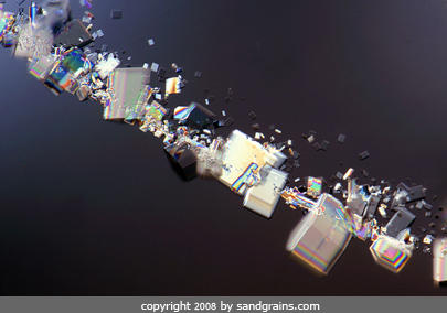 躲在沙子裡的自然界設計師