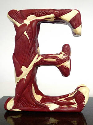 活生生血淋淋的英文字母