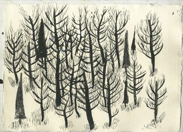 幽默可愛的民謠風插畫動畫 RYAN PELTIER