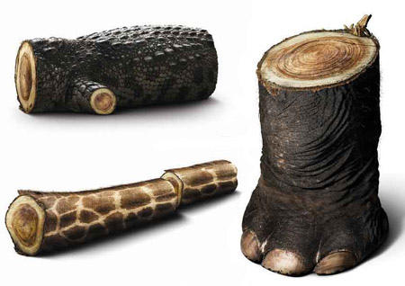 你要面對的真相:11則震撼人心的綠色廣告