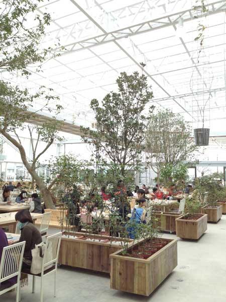 蘭陽新景點！與花草樹木共舞的「香草菲菲」