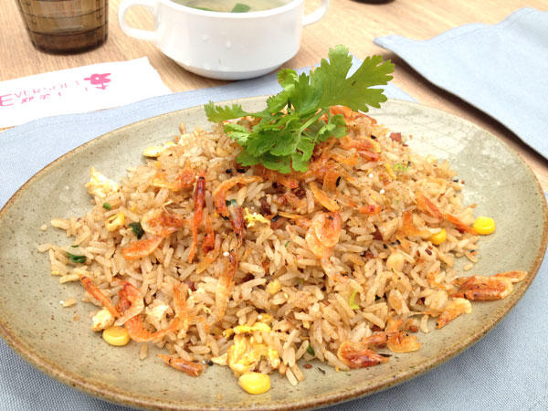 蘭陽新景點！與花草樹木共舞的「香草菲菲」