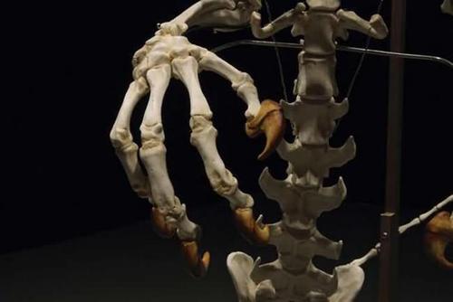 化身成白骨精卻一點都不恐怖的卡通人物