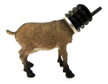 紅酒開瓶喝不完，小心黑猩猩入侵！