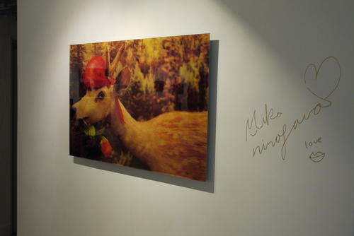 情人節沒處去嗎？來逛一個人也能逛「蜷川實花攝影展」吧！ 