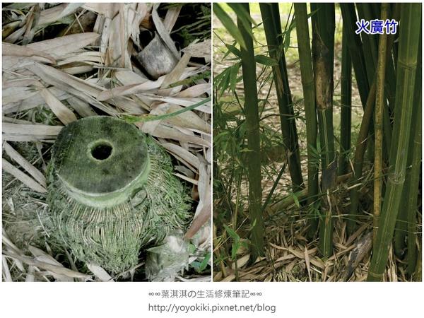 【玩體驗】來去鄉下住一晚---南投青竹文化園區深度體驗