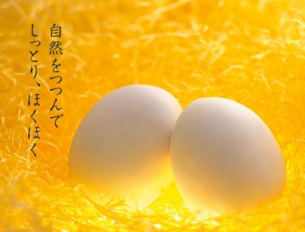 【日本奇遇ing】超有特色之日本秋季甜點這樣吃！