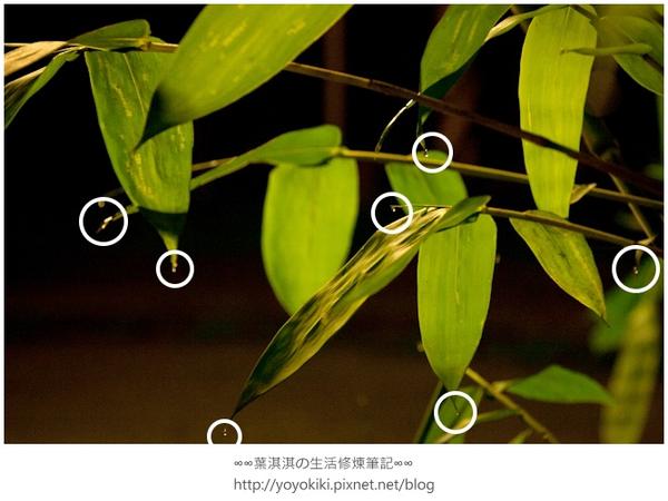 【玩體驗】來去鄉下住一晚---南投青竹文化園區深度體驗