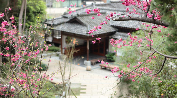 【玩體驗】日式茶道流-在台北遇到京都抹茶香