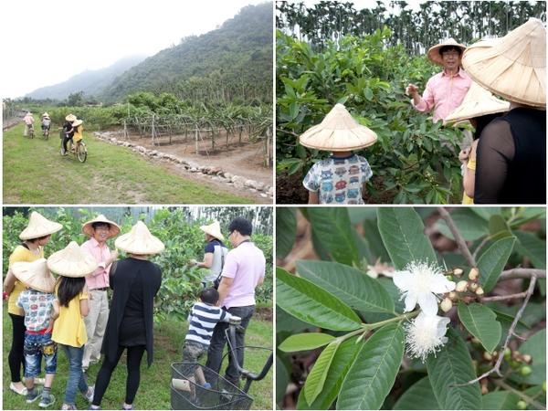 【玩體驗】來去鄉下住一晚---南投青竹文化園區深度體驗