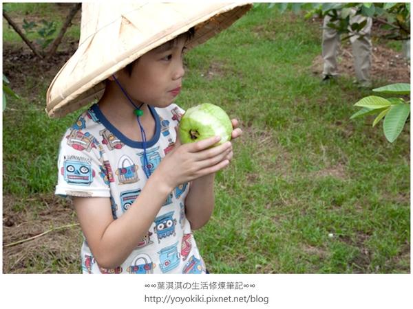 【玩體驗】來去鄉下住一晚---南投青竹文化園區深度體驗