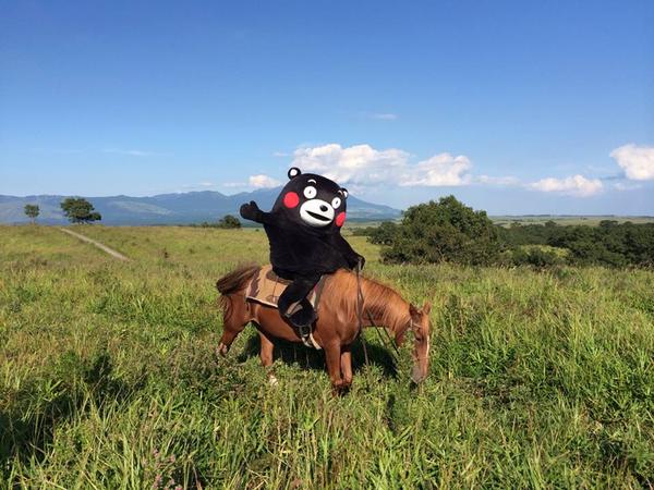 【日本奇遇ing】日本吉祥物總選舉，誰是你心目中的NO.1！