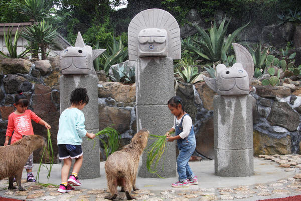 【日本奇遇ing】日本知名的動物明星---水豚君參上！