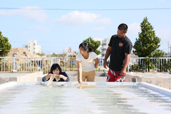 Be.okinawa，把沖繩的美味打包帶回家！
