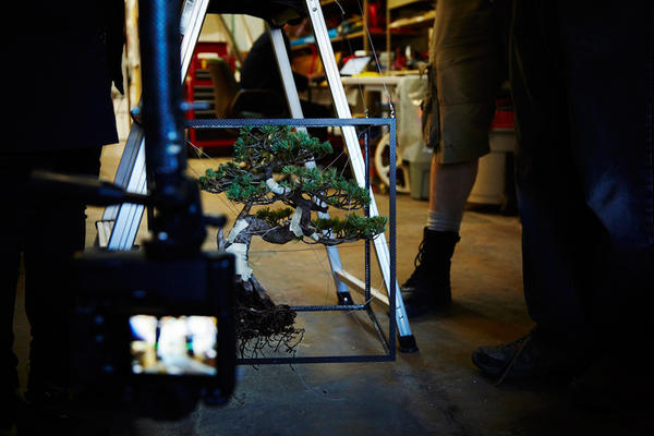 從太空回到地面---植物的落葉歸根之旅