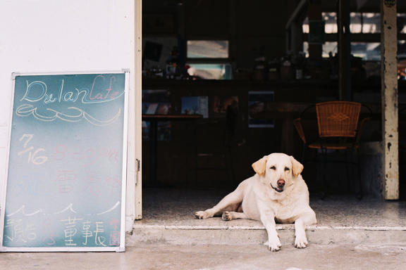 【遊記】Horizon Perfekt全景相機鏡頭下的美麗台東