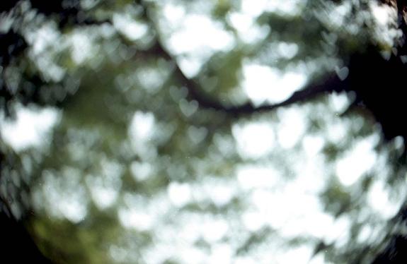 【LOMO好時光】試試看，玩散景的 5 種方法！ 