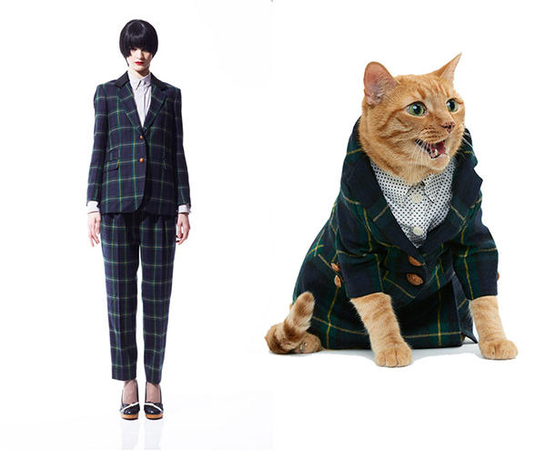 追求時尚不再只是人的專利，貓咪也要很Fashion - United Bamboo